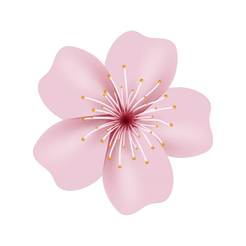Cherry Blossom logo